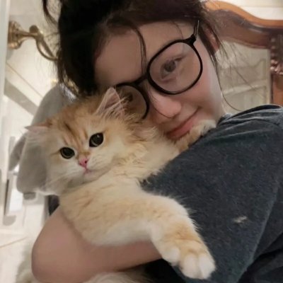 加菲猫和他的朋友们第一季